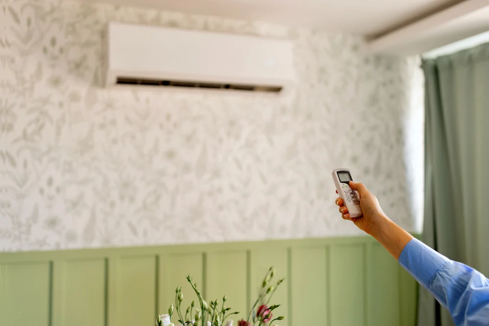 Woman points remote at wall-mounted mini-split — ductless AC installation in the Lake Gaston Area